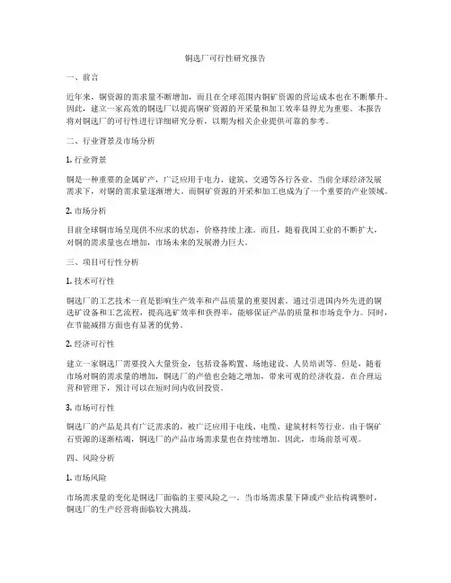 铜选厂可行性研究报告