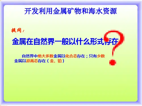 开发利用金属矿物和海水资源ppt课件