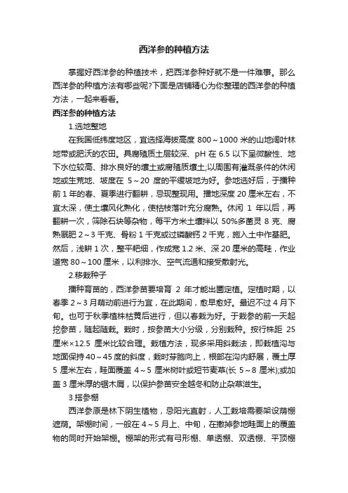 西洋参的种植方法