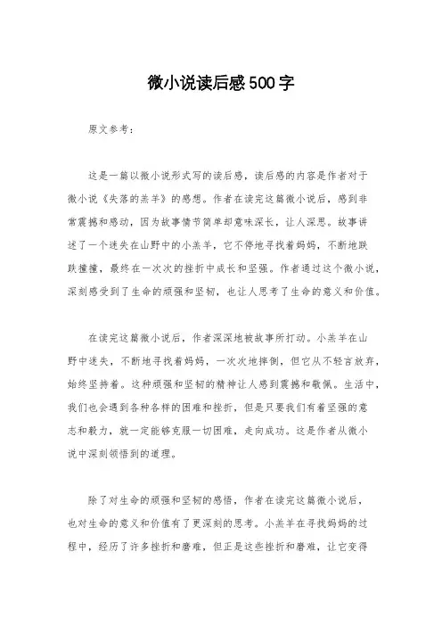 微小说读后感500字