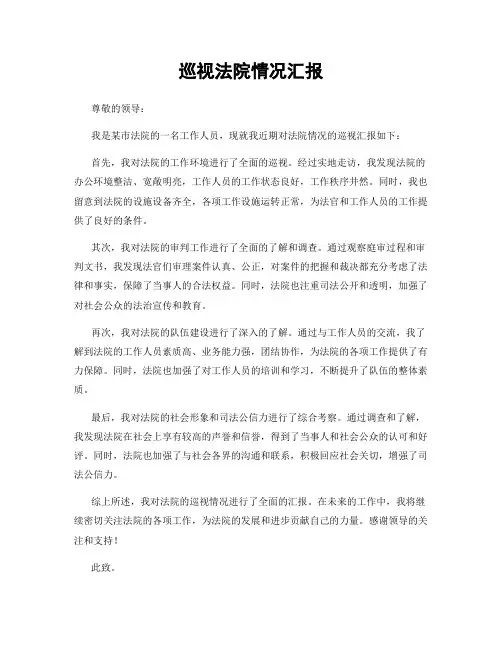 巡视法院情况汇报