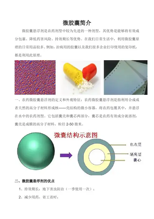微胶囊简介