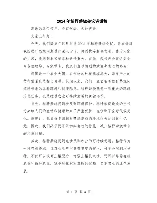 2024年秸秆禁烧会议讲话稿