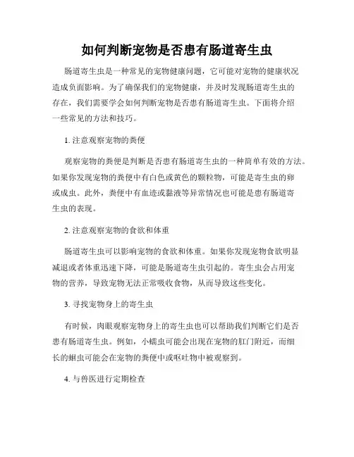 如何判断宠物是否患有肠道寄生虫