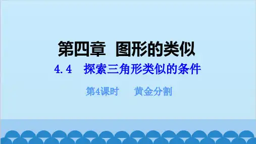 北师大版数学九年级上册第4课时黄金分割课件