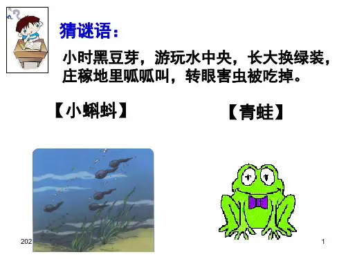 部编本1《小蝌蚪找妈妈》新插图PPT课件