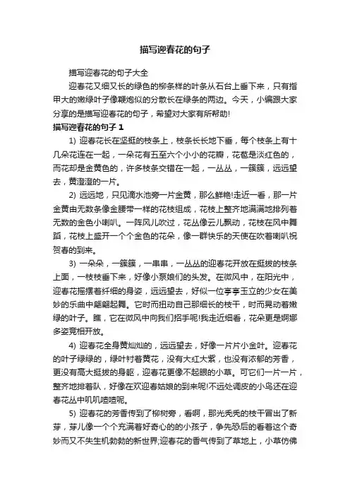描写迎春花的句子大全