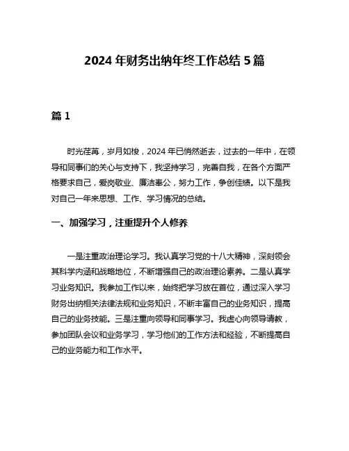2024年财务出纳年终工作总结5篇