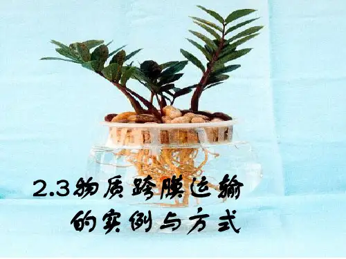 物质跨膜运输的实例与方式