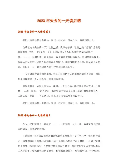 2023年失去的一天读后感