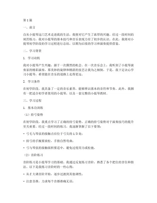 小提琴初学总结报告范文(3篇)