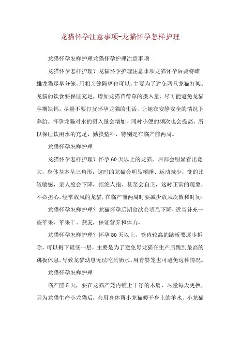 龙猫怀孕注意事项-龙猫怀孕怎样护理