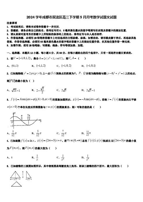 2024学年成都市双流区高三下学期5月月考数学试题文试题
