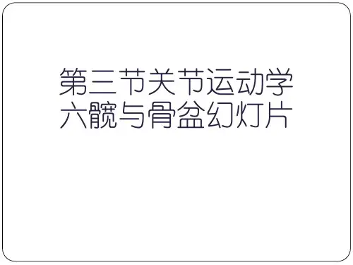 第三节关节运动学六髋与骨盆幻灯片