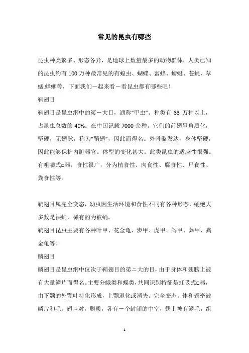 常见的昆虫有哪些