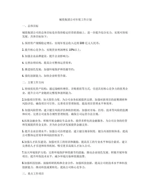 城投集团公司年度工作计划
