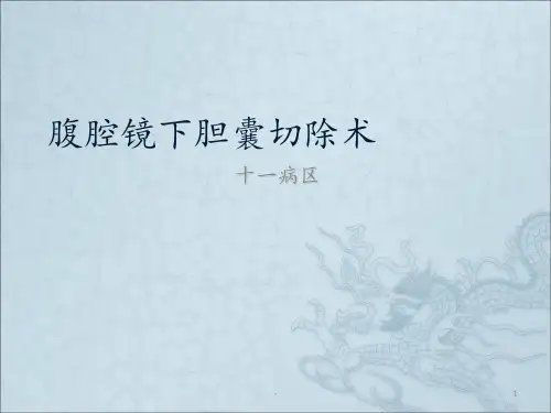 腹腔镜胆囊切除术pptppt课件