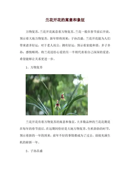 兰花开花的寓意和象征