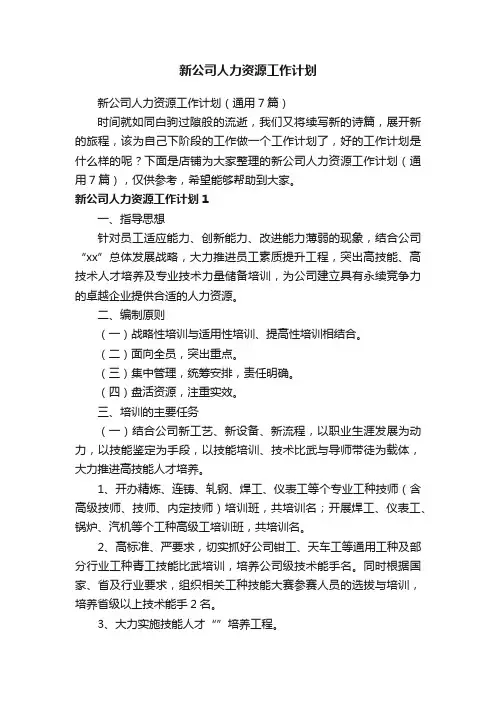 新公司人力资源工作计划
