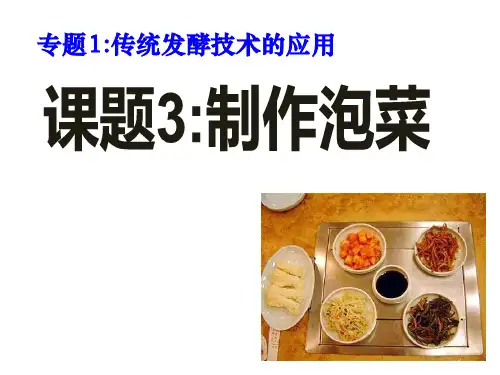 专题一 课题3制作泡菜