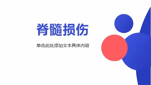 脊髓损伤PPT