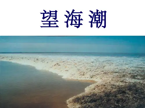 柳永《望海潮》公开课优秀课件