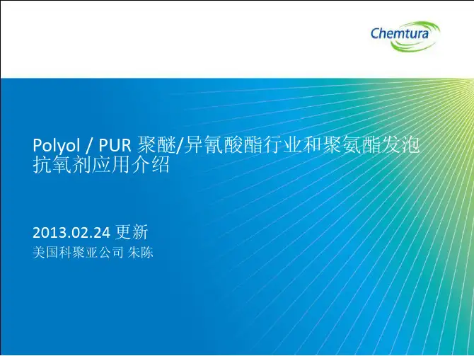 Polyol_PUR_聚 醚异氰酸酯行 业和聚氨酯下 游抗氧剂的应用-2013 0224.p更新
