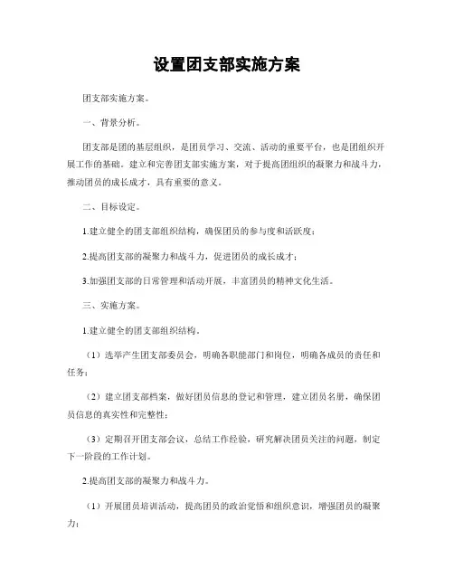 设置团支部实施方案