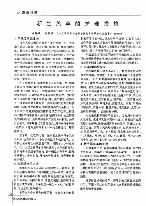 新生羔羊的护理措施