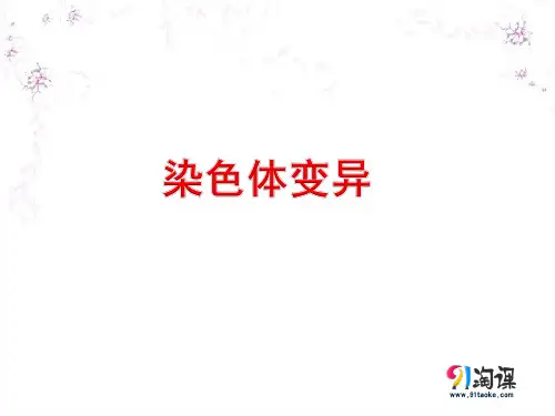 课件8：5.2 染色体变异