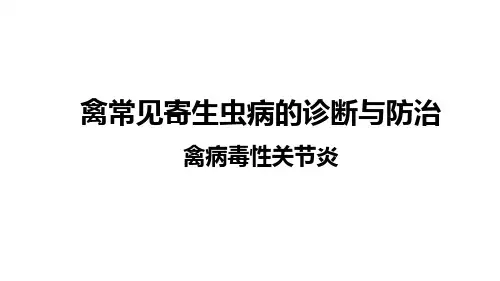 禽病毒性关节炎课件(共25张PPT)《禽病防治》