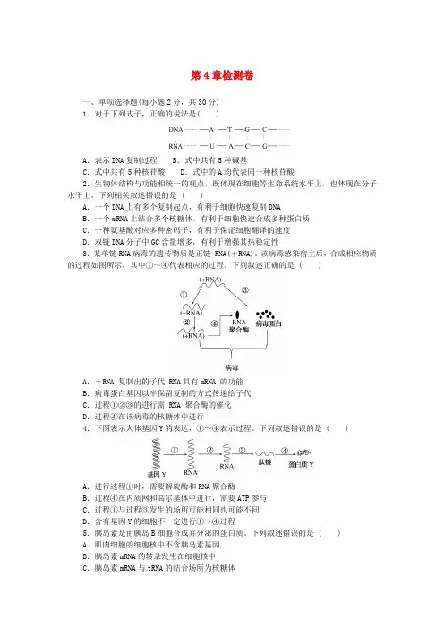 2023版新教材高中生物第4章基因的表达检测卷新人教版必修2