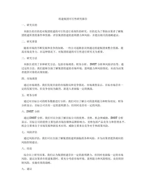 组建集团可行性研究报告