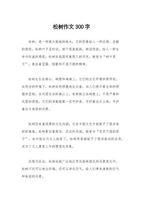 松树作文300字