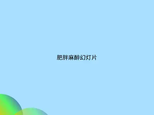 肥胖麻醉幻灯片