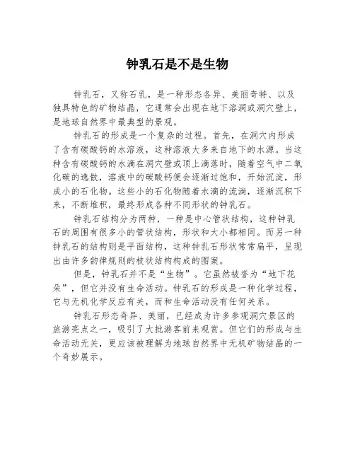 钟乳石是不是生物