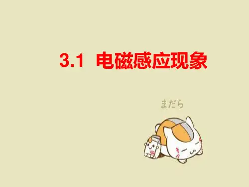 电磁感应现象复习PPT教学课件