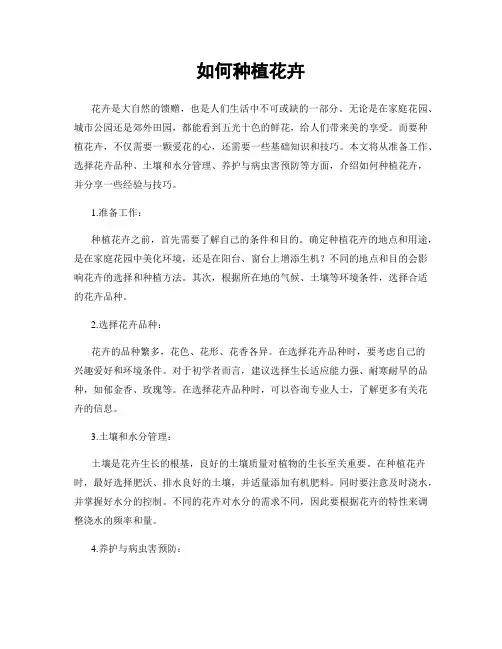 如何种植花卉