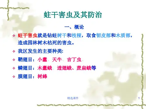 树木的常见蛀干害虫