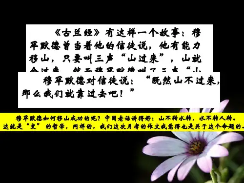 《乌鸦东飞》写作指导