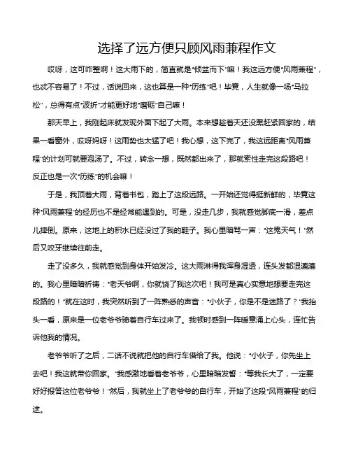 选择了远方便只顾风雨兼程作文