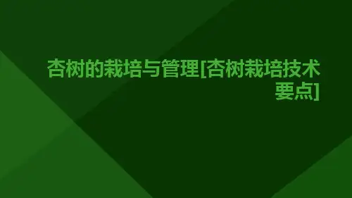 杏树的栽培与管理[杏树栽培技术要点]