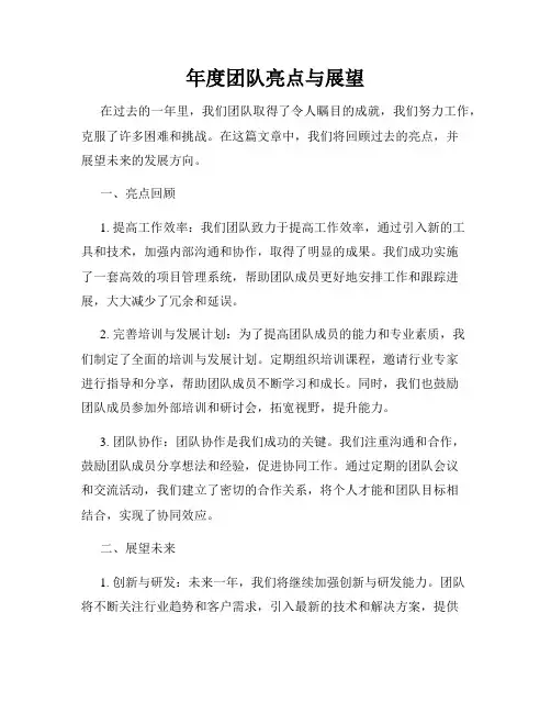 年度团队亮点与展望