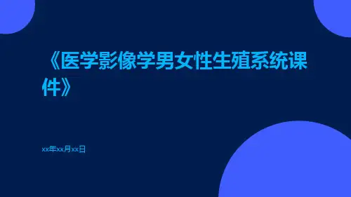医学影像学男女性生殖系统课件