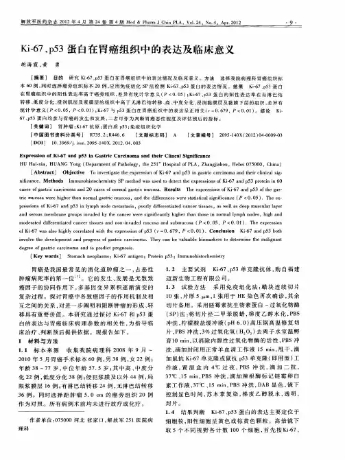 Ki-67、p53蛋白在胃癌组织中的表达及临床意义