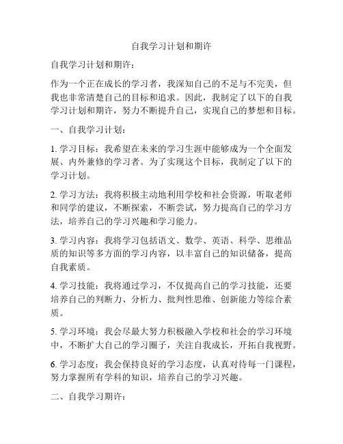 自我学习计划和期许