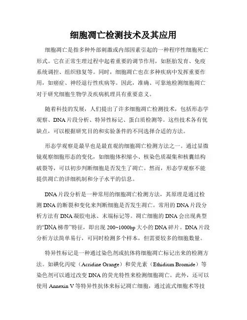 细胞凋亡检测技术及其应用