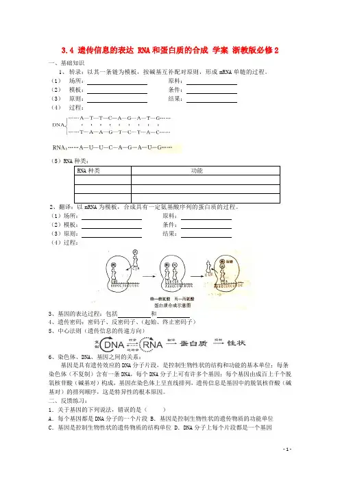 浙科版 遗传信息的表达 学案