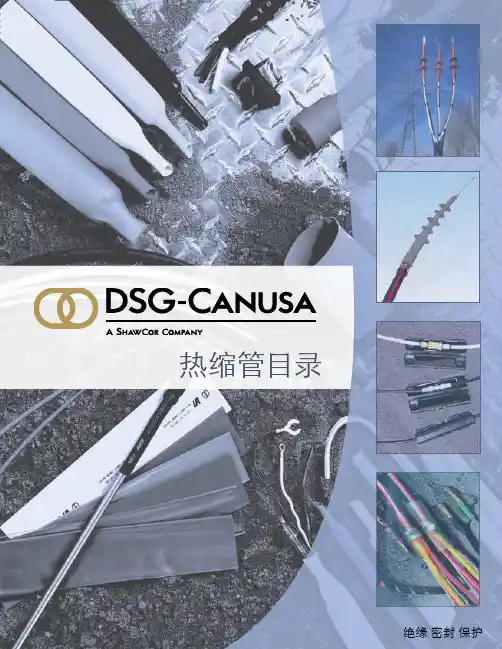 DSG-CANUSA热缩管