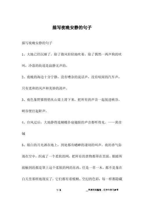 描写夜晚安静的句子